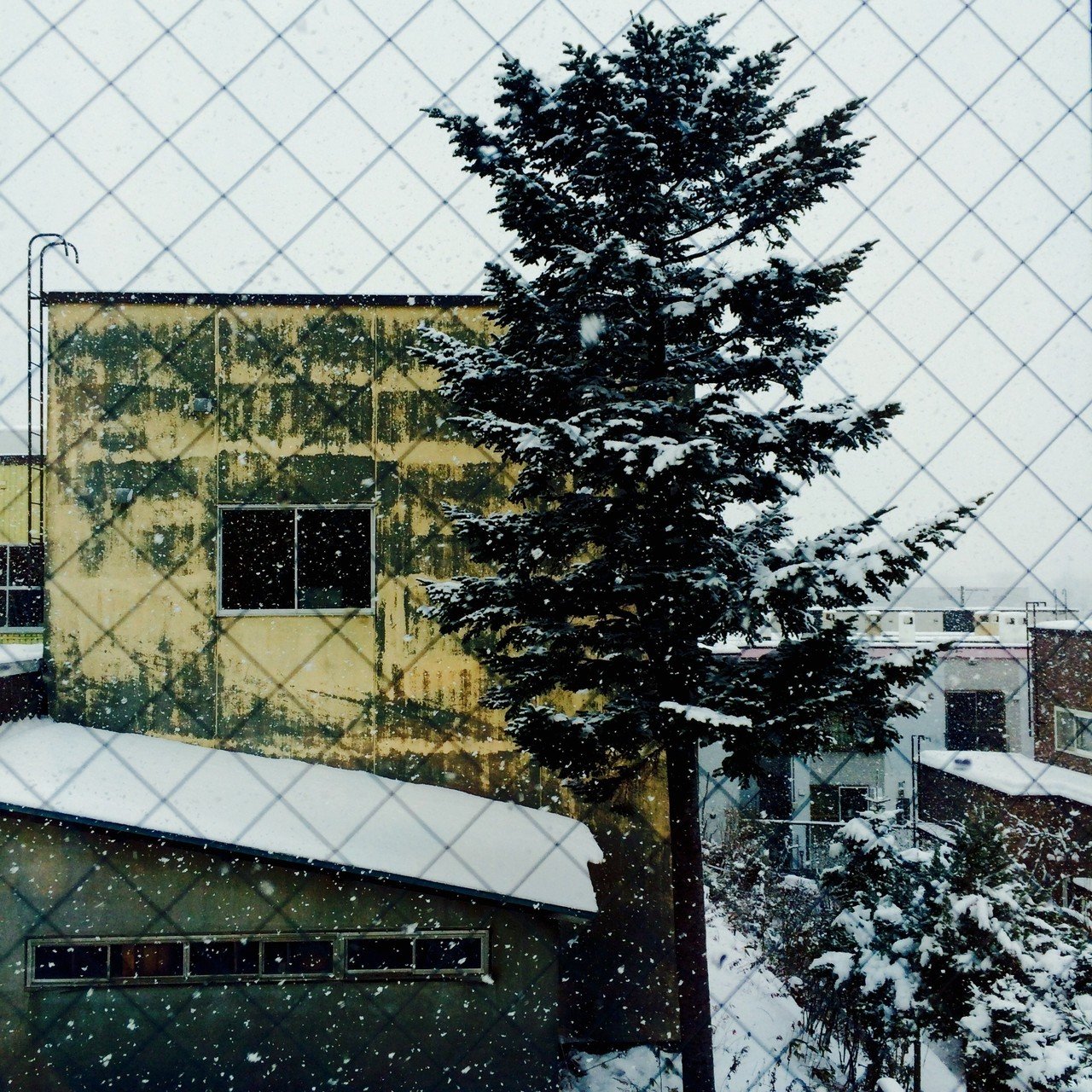 ゆきーん｜ピエロ