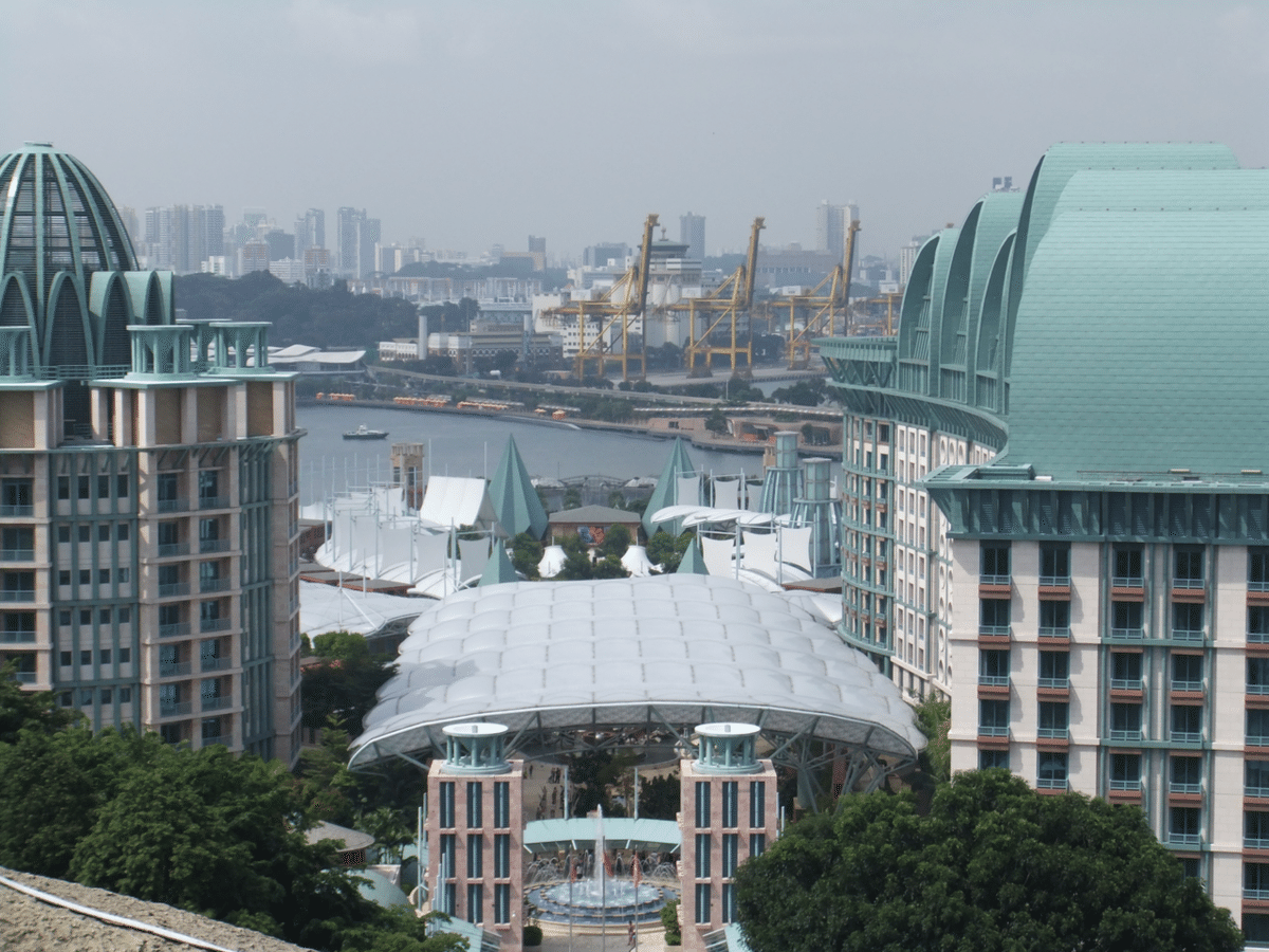 G*7様 セントポーリア 「ジンズ イーブン」 G*7様 セントポーリア