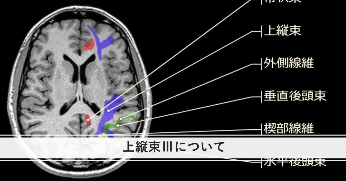 上縦束Ⅲについて｜くろ 作業療法士