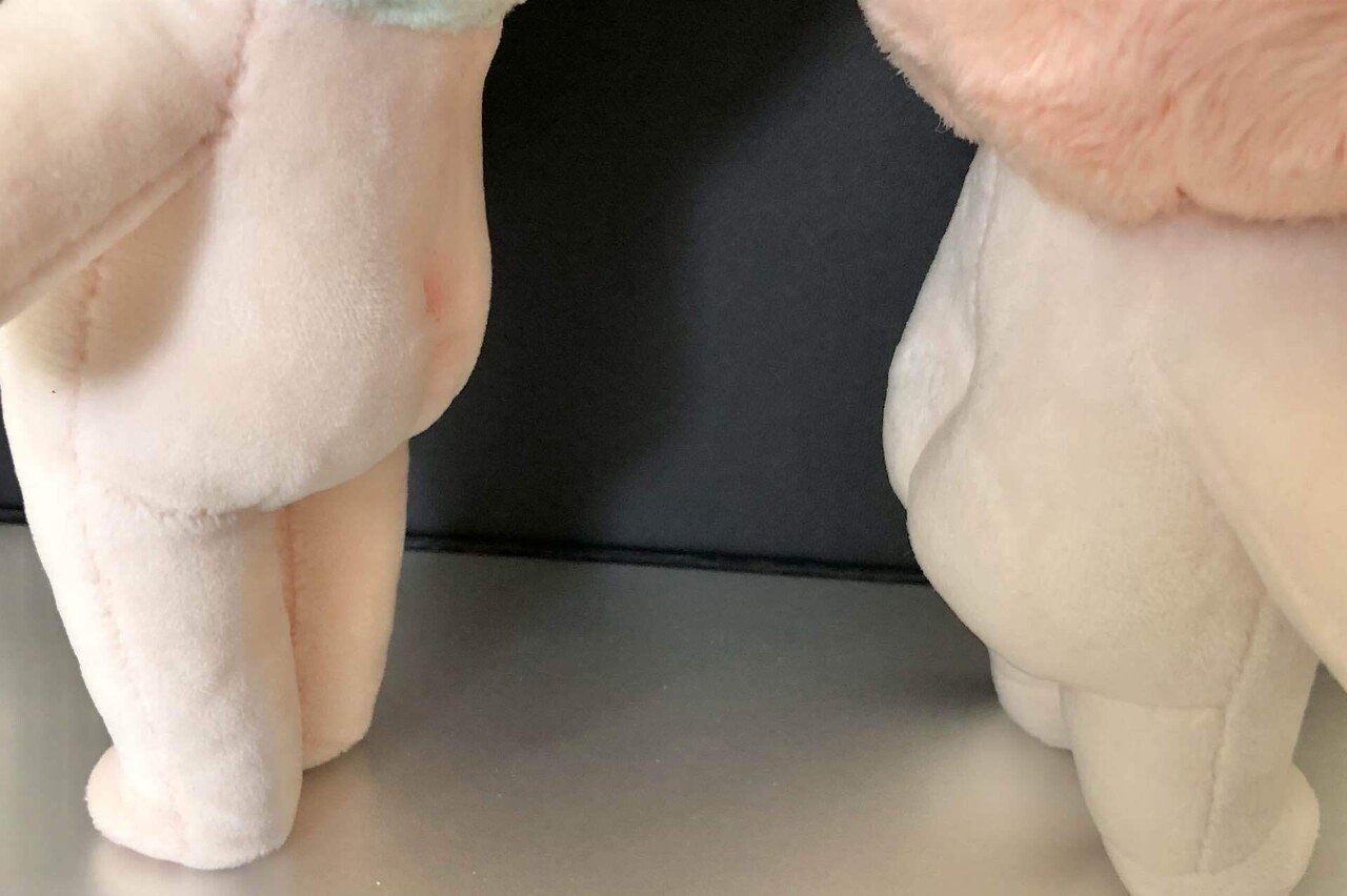 無属性ぬいを入手した話｜にぎりめし