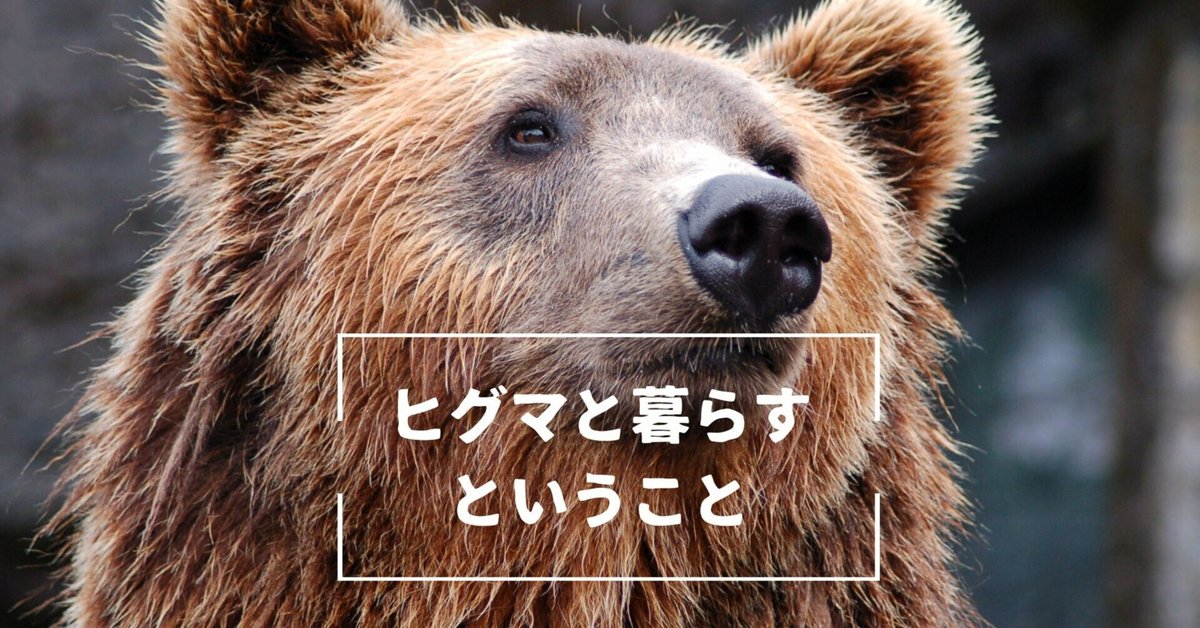 どっちが強い!?W 巨大ヒグマの暴走」川口拓 [角川まんが学習