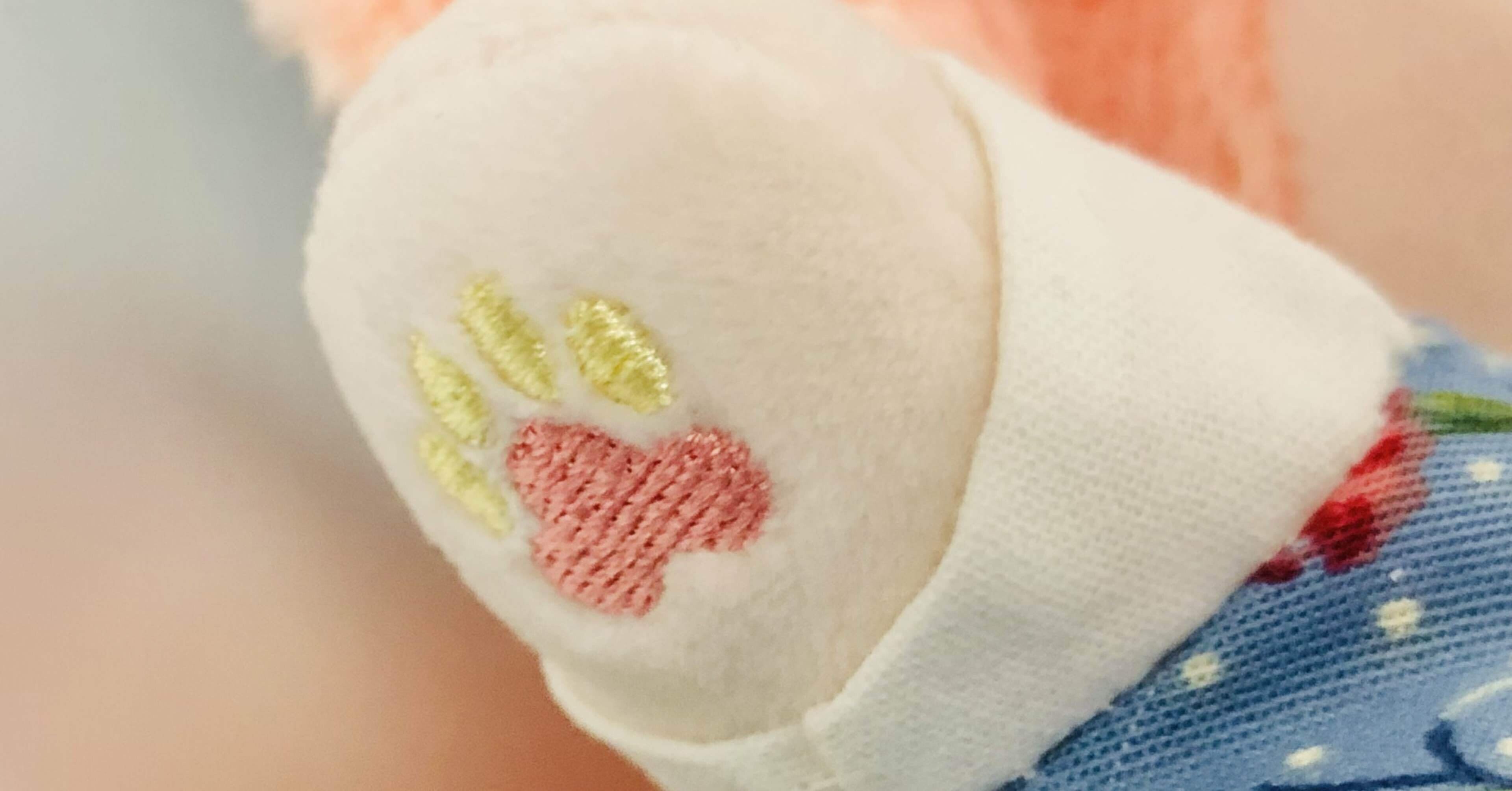 2f91ee357924b3f6637f01f3baf9b5