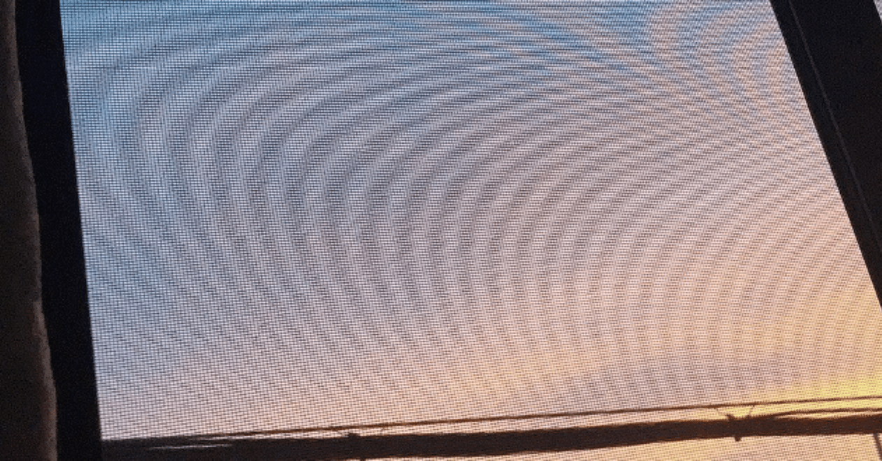 君島大空『no public sounds』とモアレ｜青島もうじき