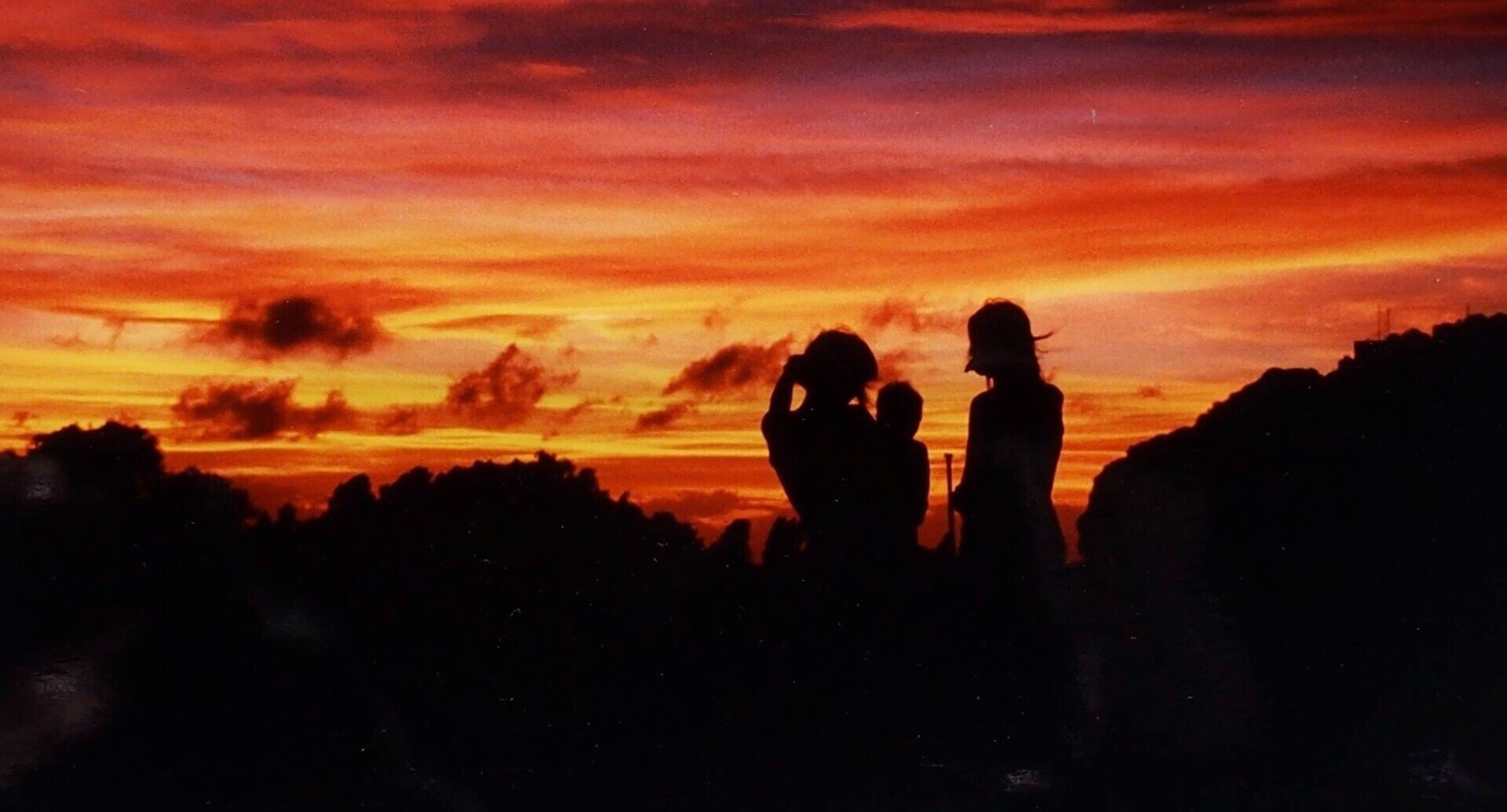 天豆　てんまめ