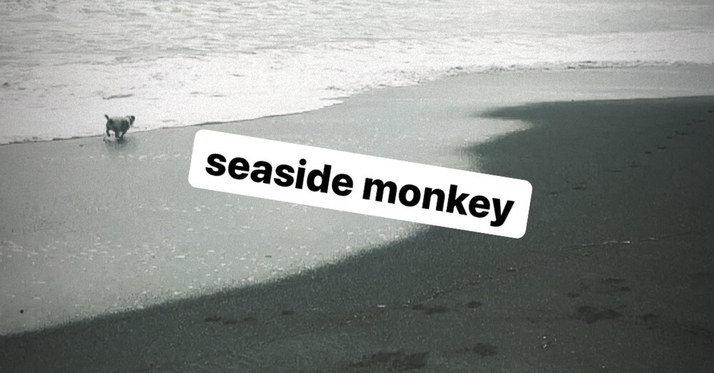 seaside monkey |note