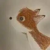 Patapata 19