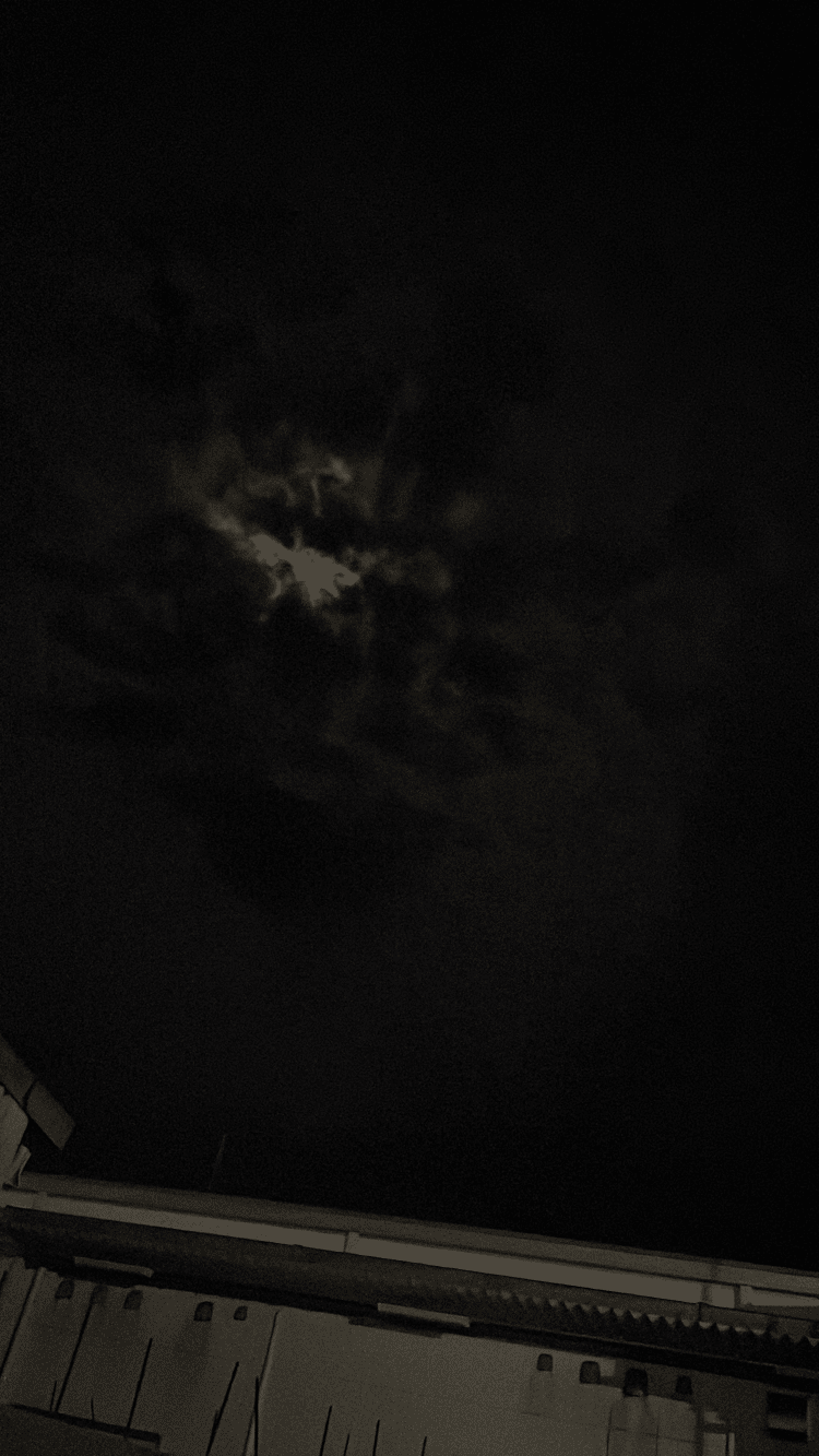 朧月の撮影をしようとしたら雲に阻まれました笑