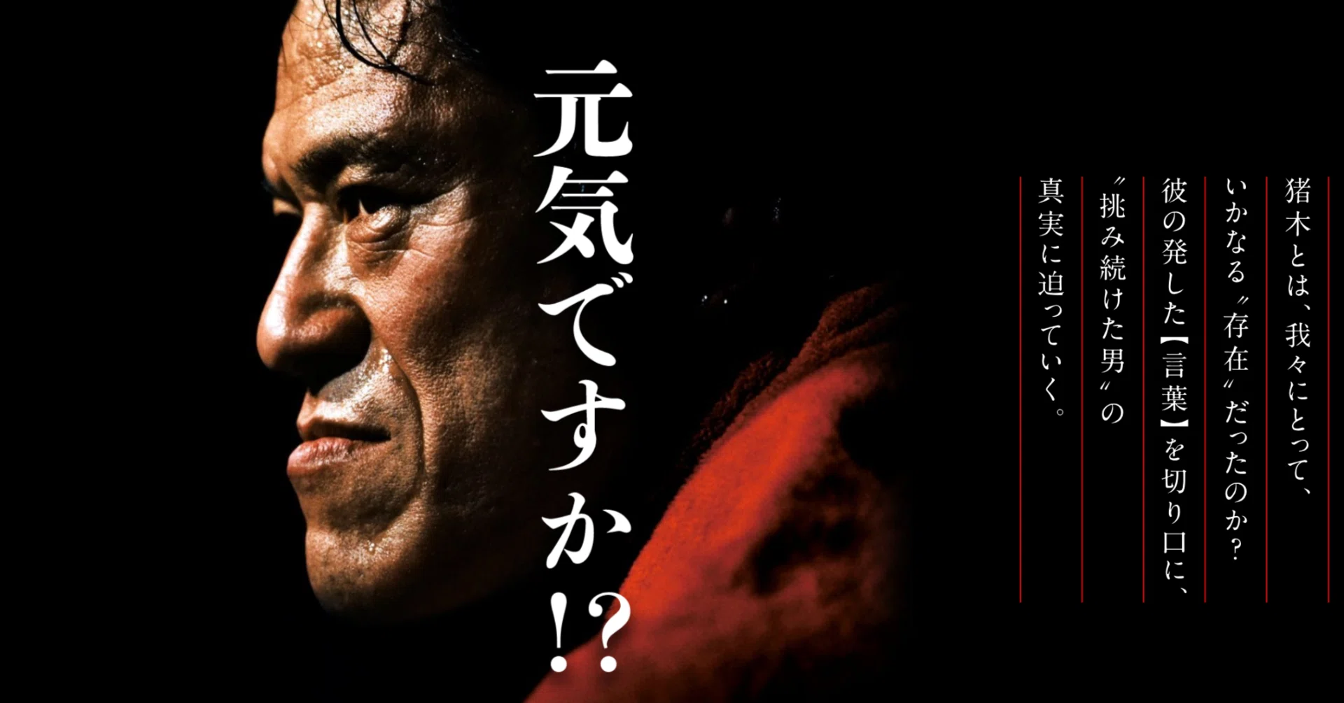 活動歴および当時の関連ビジュアル記録