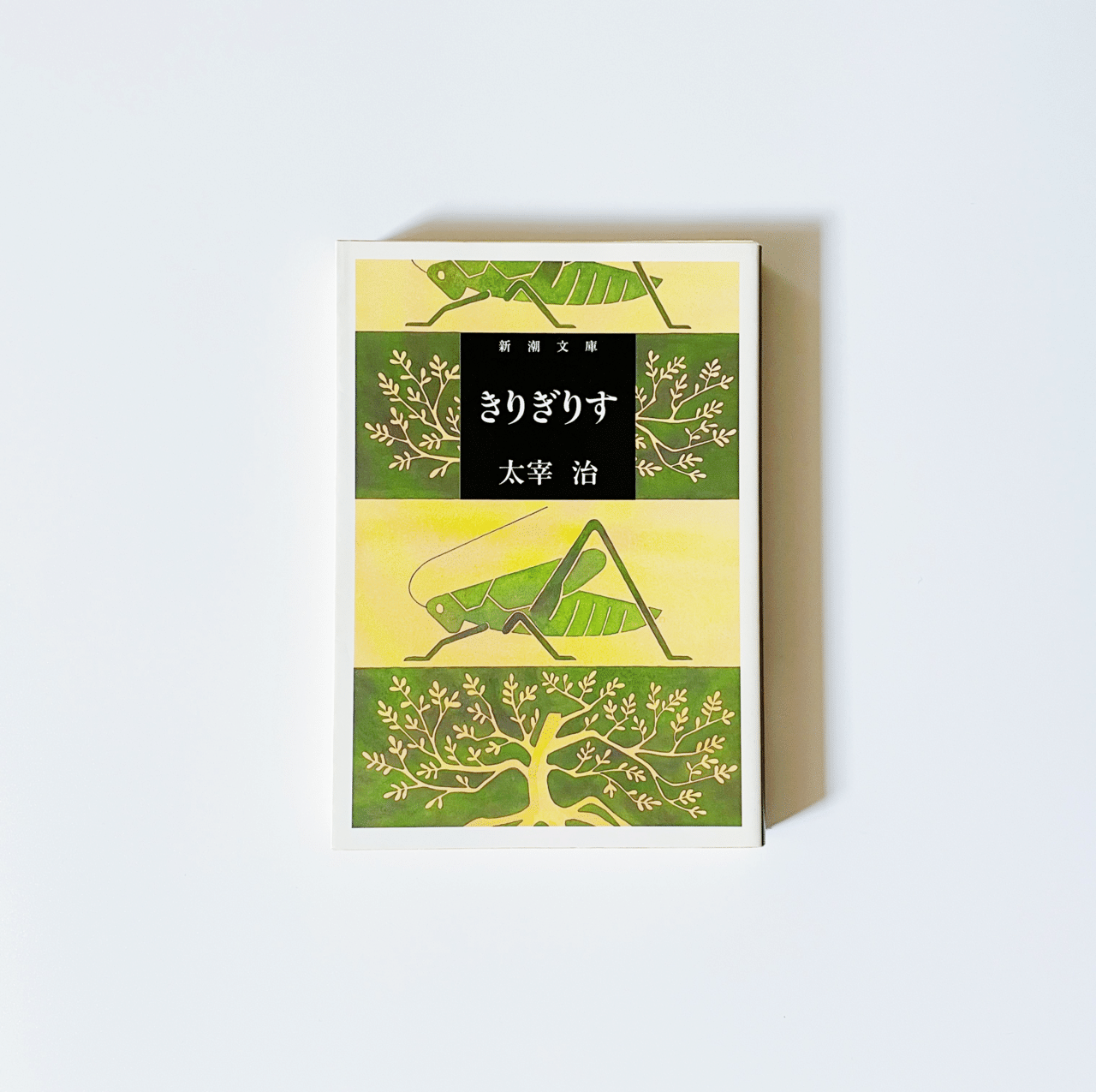 13 太宰治全部読む |これぞ”隠れた名盤”、女性の魂を宿して書く 13 太宰治全部読む |これぞ”隠れた名盤”、女性の魂を宿して書く