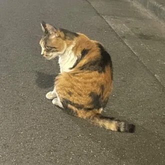 いとう