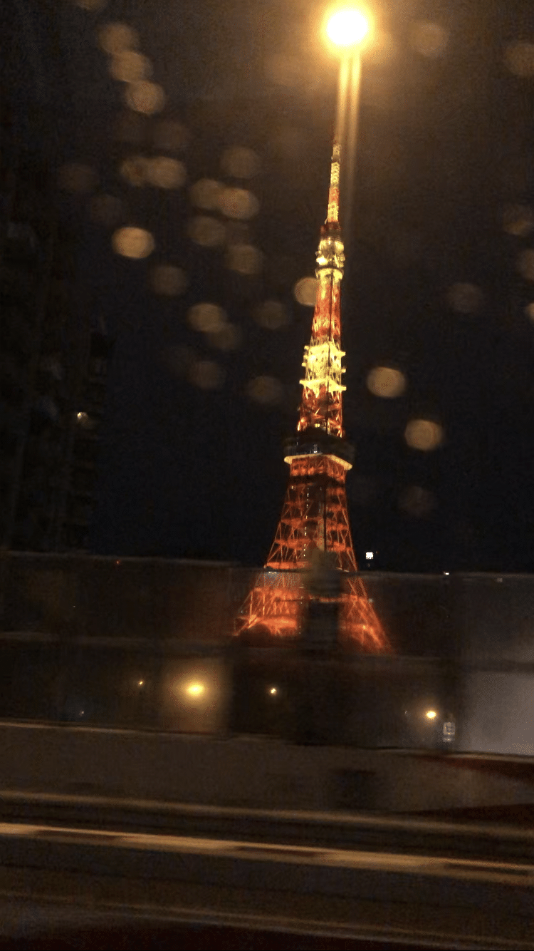 東京の夜景をキレイだと思ってしまった｜かもがわはね
