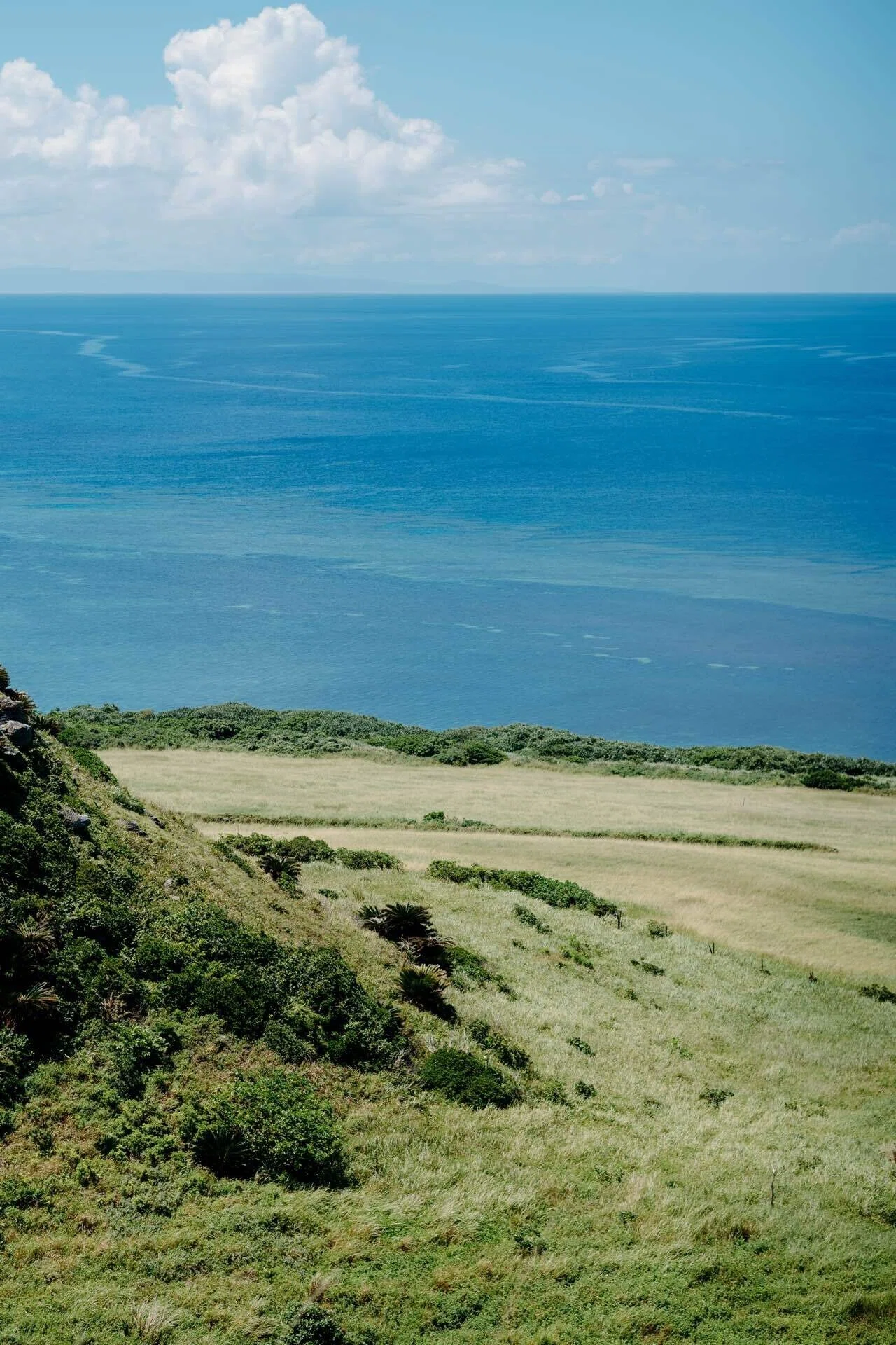 9泊10日八重山諸島旅｜art6d