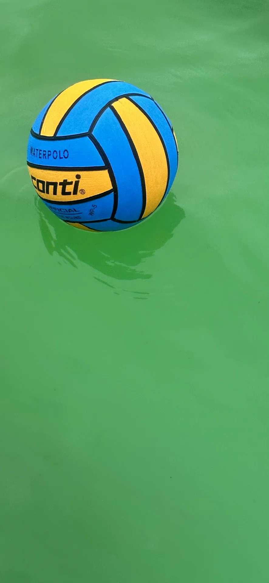 ç»å
