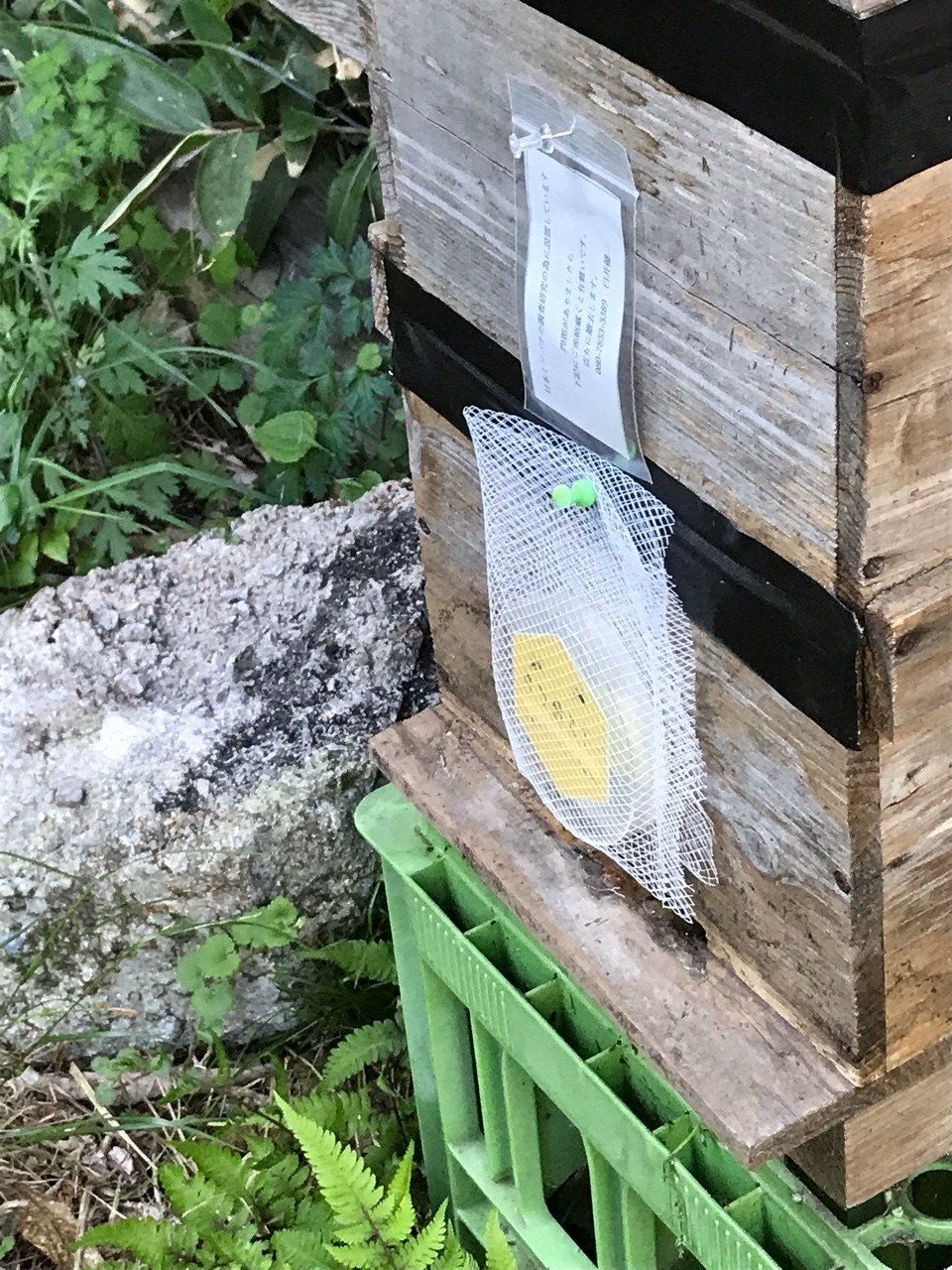 みつばちゆっち♪木箱発送時間かかります☆