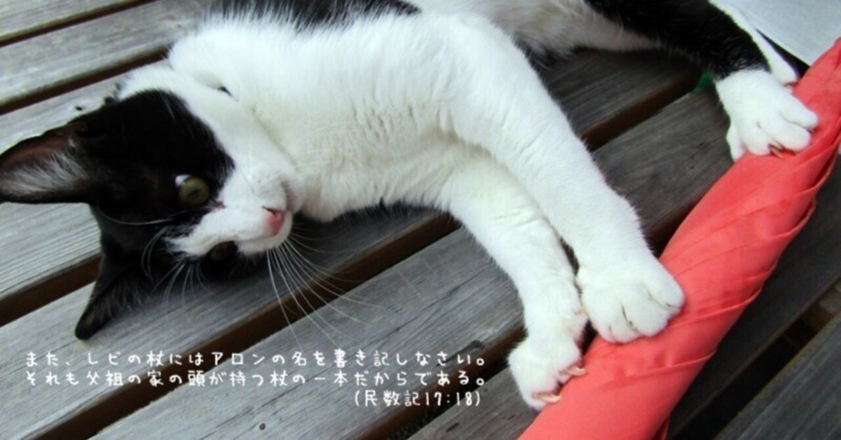 特別なアロン｜たかぱん