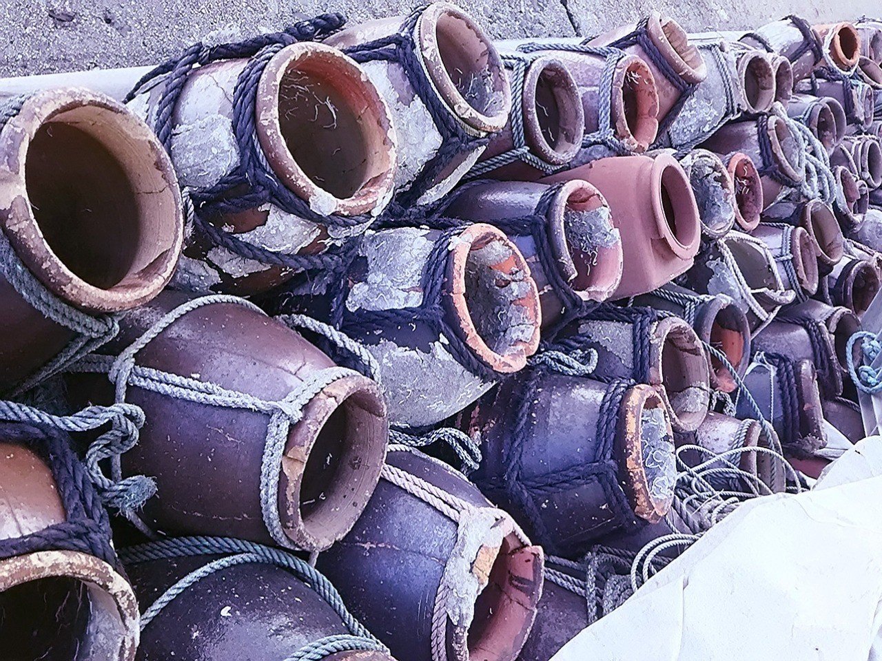 姫島名物のマダコ くにさき姫だこ を捕まえるための タコツボ 蛸壺 を知ってますか スー Note