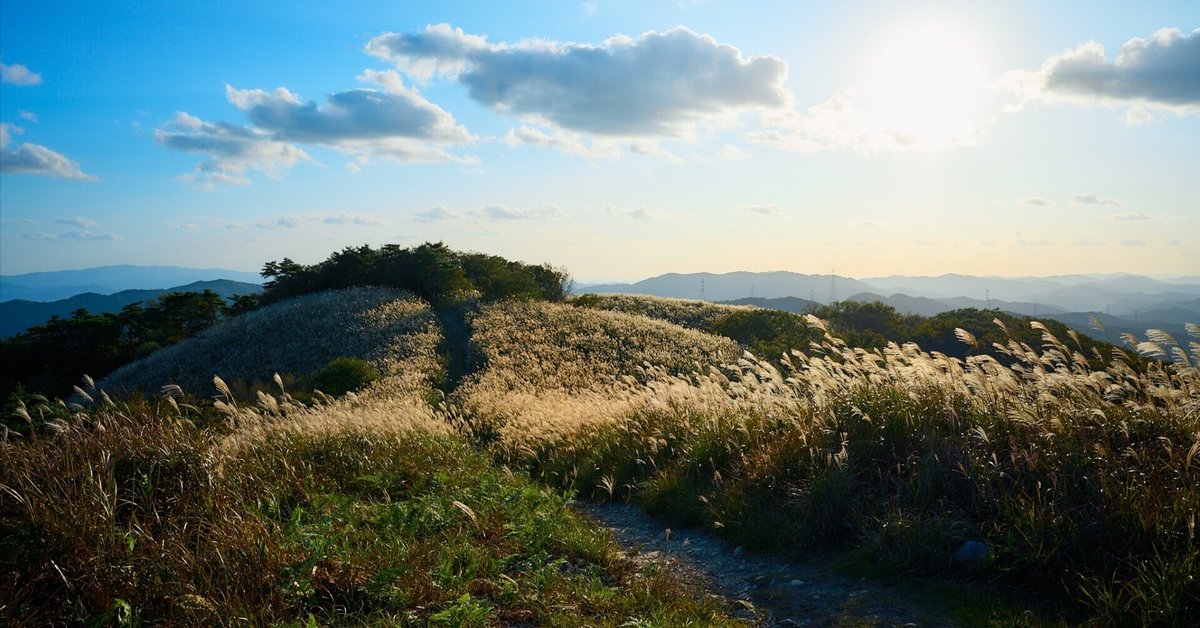 最大15%OFFクーポン ススキが色気を帯びる夕暮れ時深山に行ってきました。｜野良 タモ