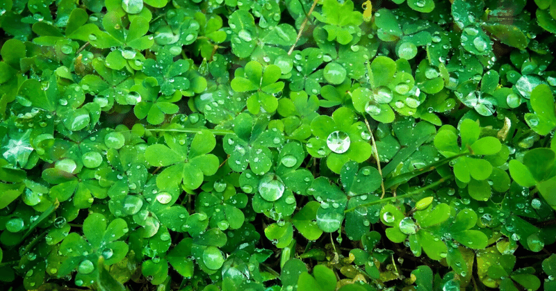 雨の日の音。