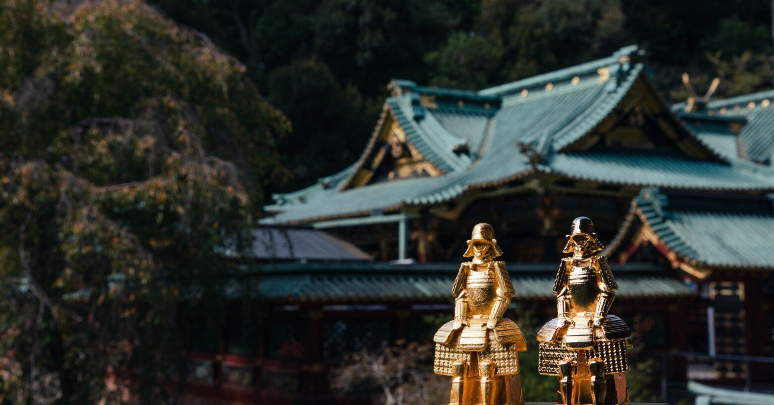 5b79c950c1c9eff89996556adc45d5