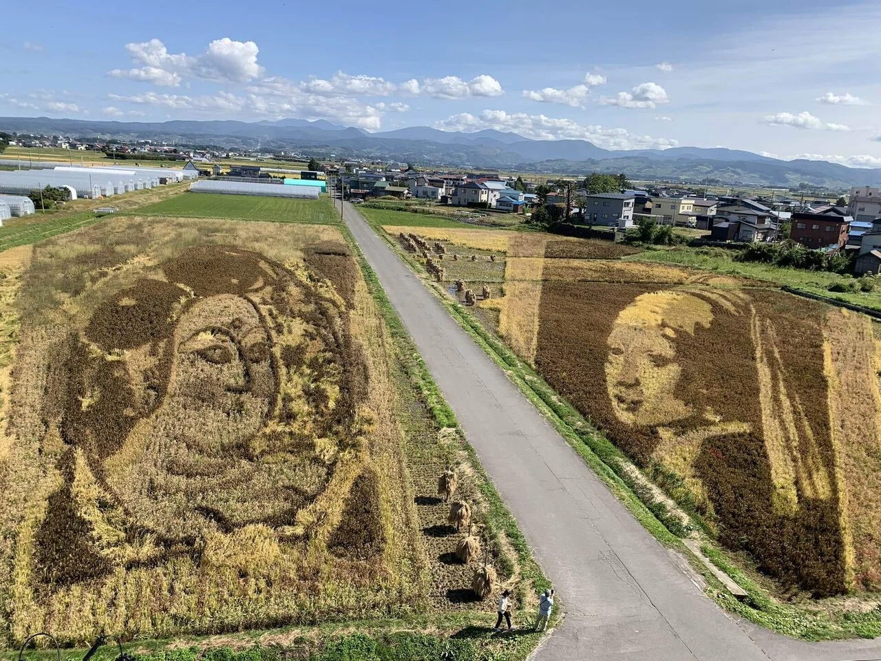 青森県田舎館村】元祖田んぼアートと東北の弥生文化の意外な関係｜狩野