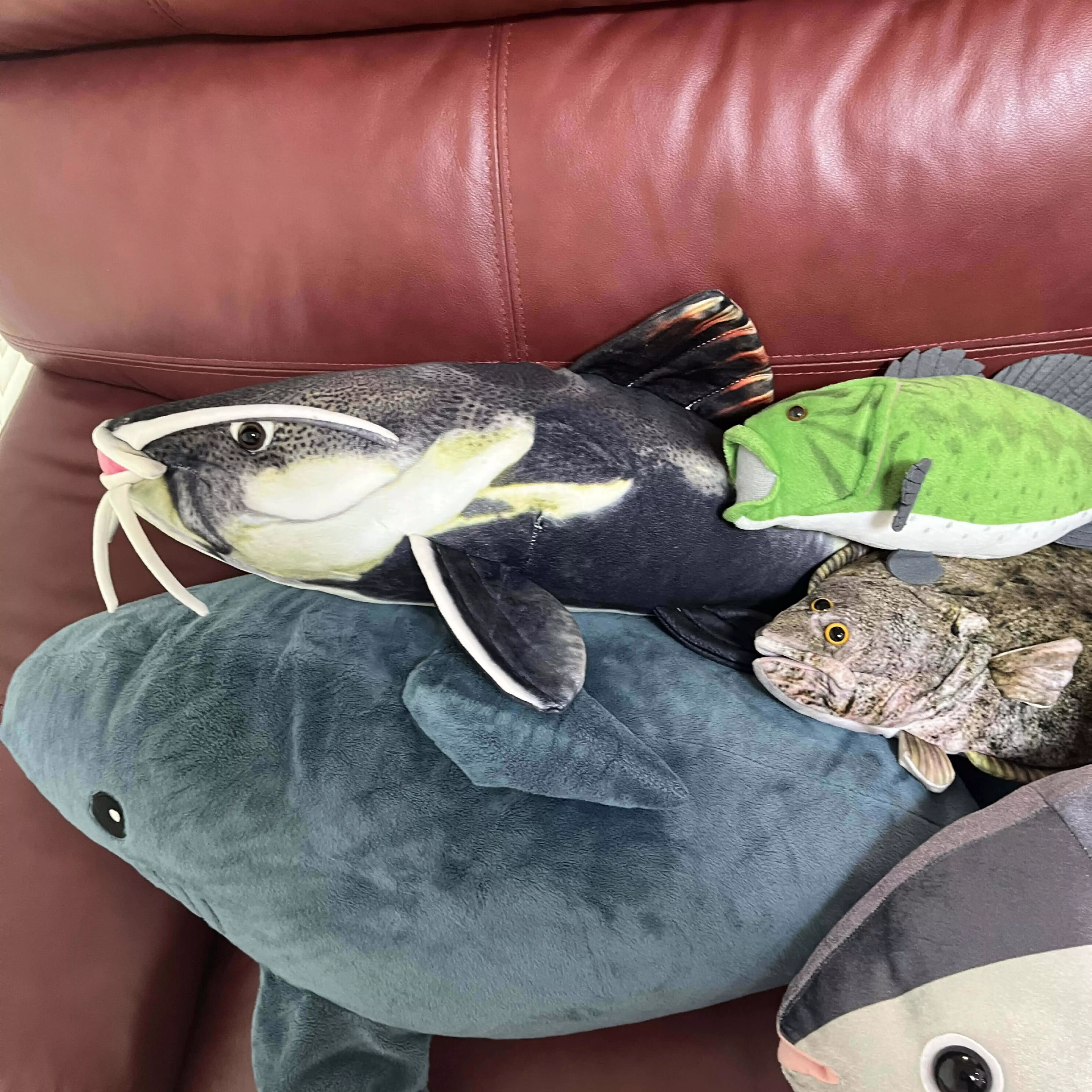 D の部屋