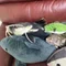 D の部屋