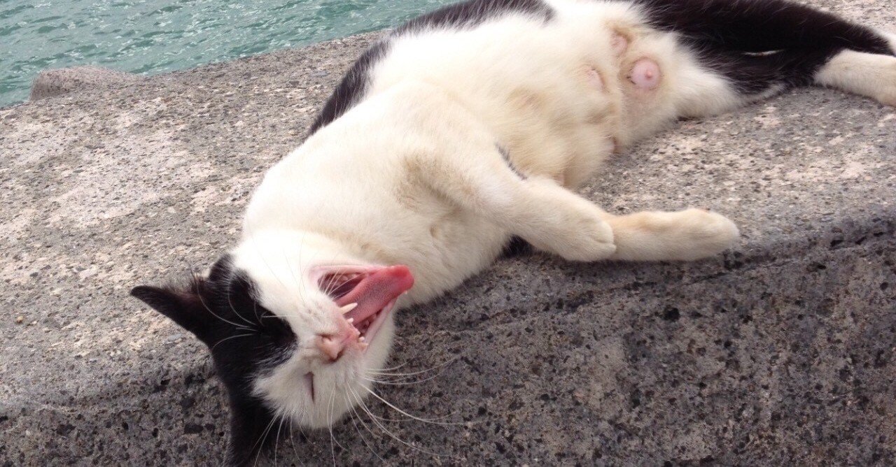 アッポッジョと 腹式呼吸 の比較 黒川和伸 Note アッポッジョと 腹式呼吸 の比較 黒川和伸 Note