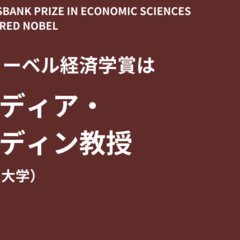 意思決定理論 2020年度（第63回）日経・経済図書文化賞受賞 林貴志 専門書・受賞本】意思決定理論 林貴志 知泉書館 数理経済学叢書10 絶版
