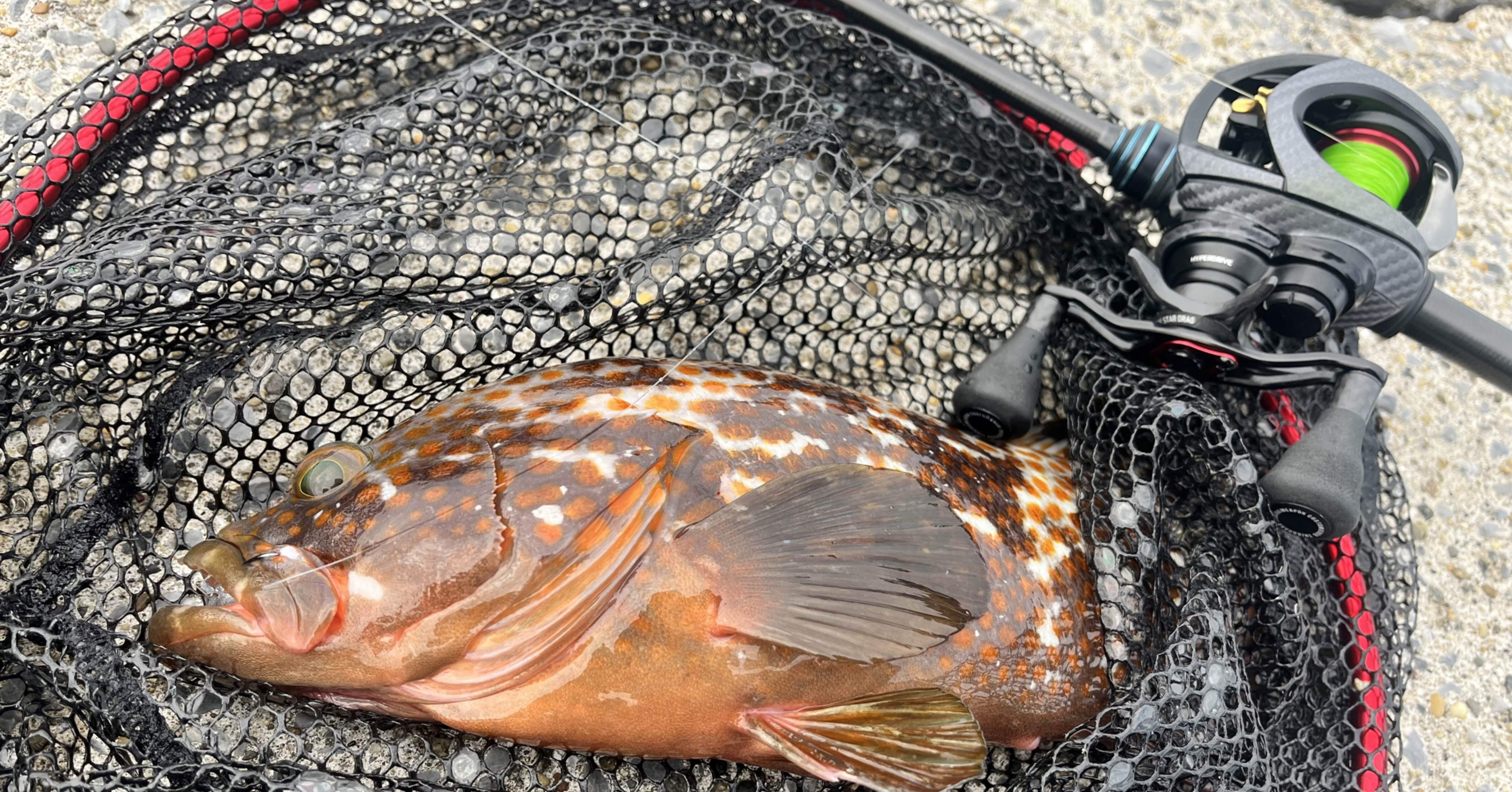 5b2f41eff398458b524a35634369a4