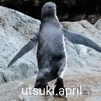 四月卯月