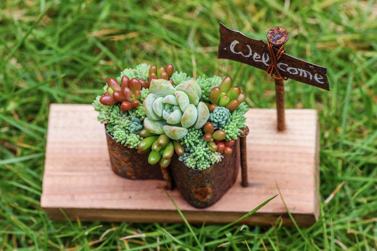 多肉植物のワークショップに参加【ちまちま寄せ】が楽しい ｜__bebe 𓇗