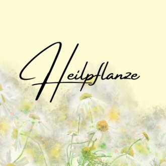 Heilpflanze