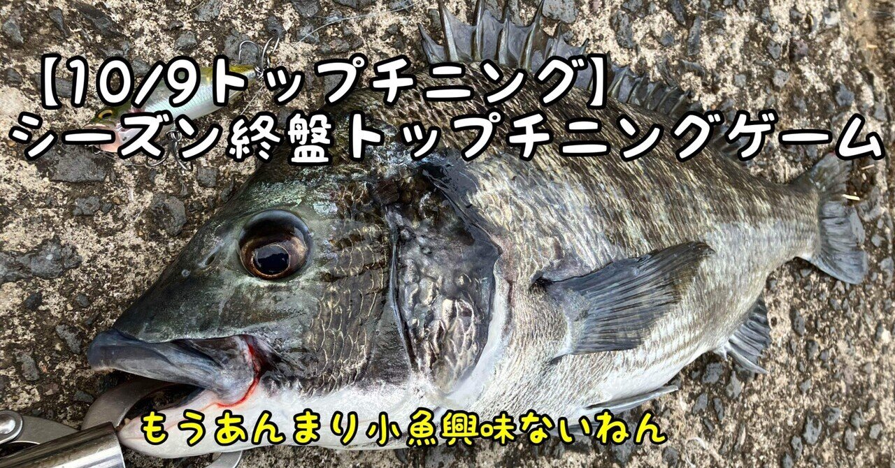 1009トップチニング】シーズン終盤トップチニングゲーム｜ぐっち