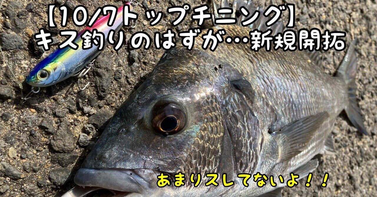 チニングトップ 寄り道フィッシング～あのポッパーでトップチニング？！編
