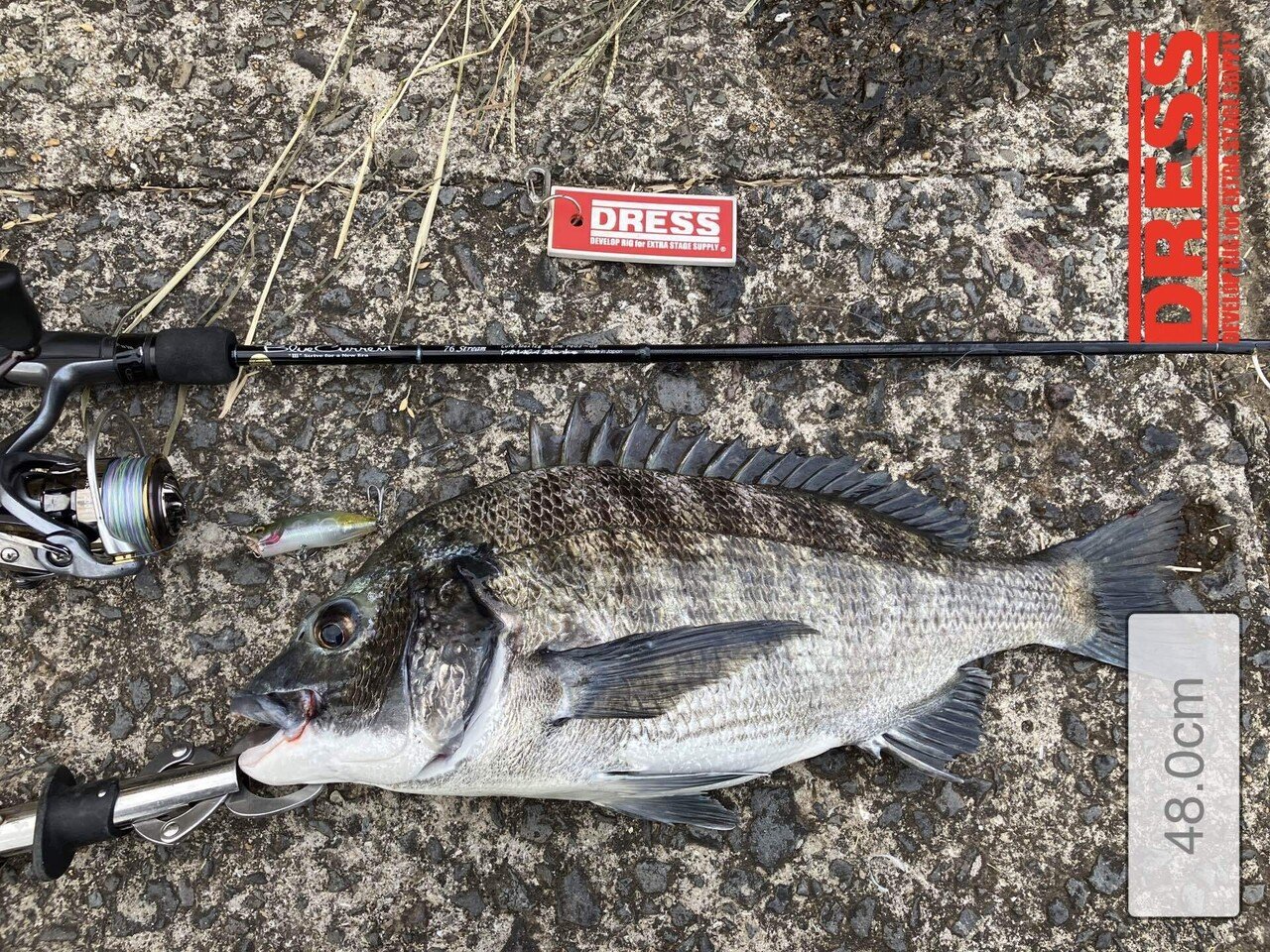 チニングトップ 1009トップチニング】シーズン終盤トップチニングゲーム｜ぐっちあっきー