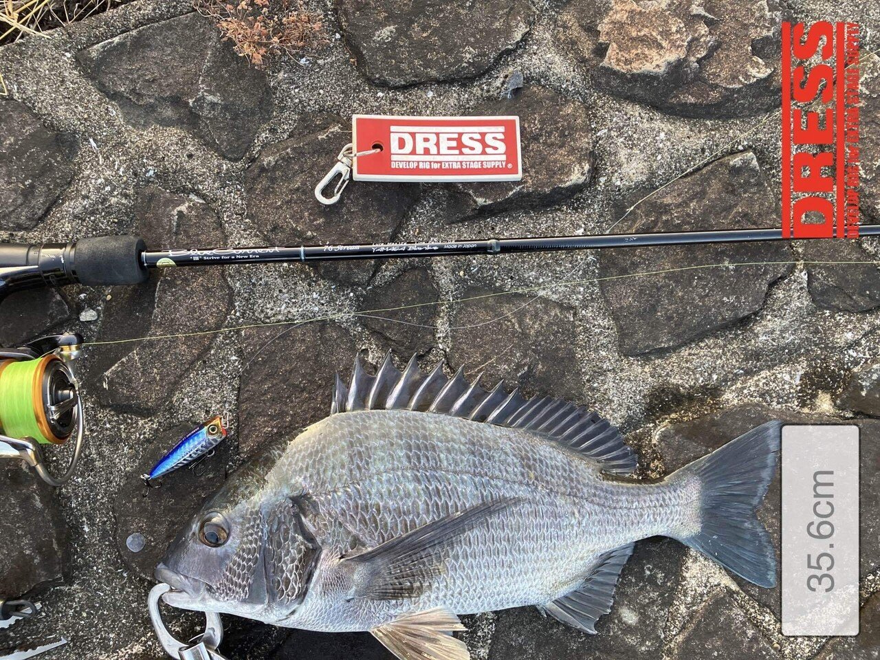 チニングトップ 1009トップチニング】シーズン終盤トップチニングゲーム｜ぐっち