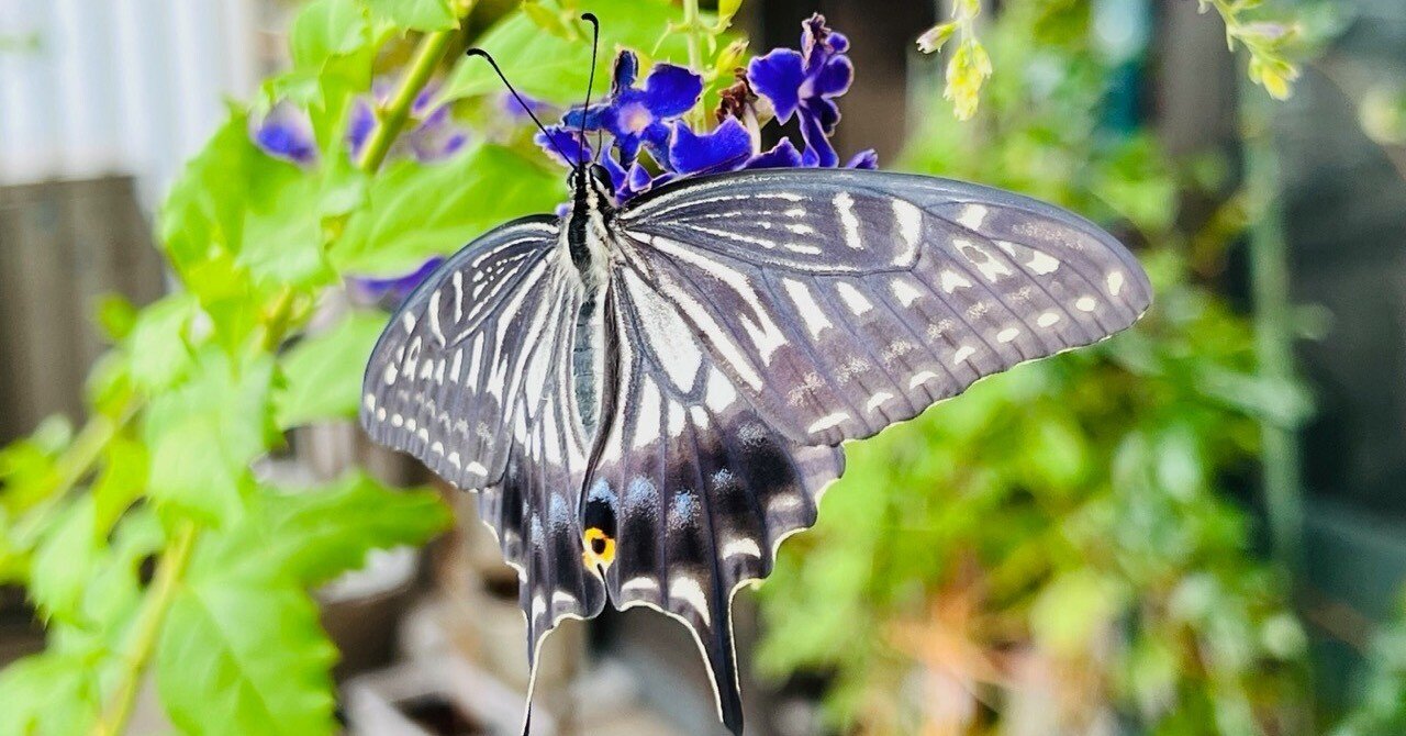 4c10dcfd1b8584d3fdf457131b546d