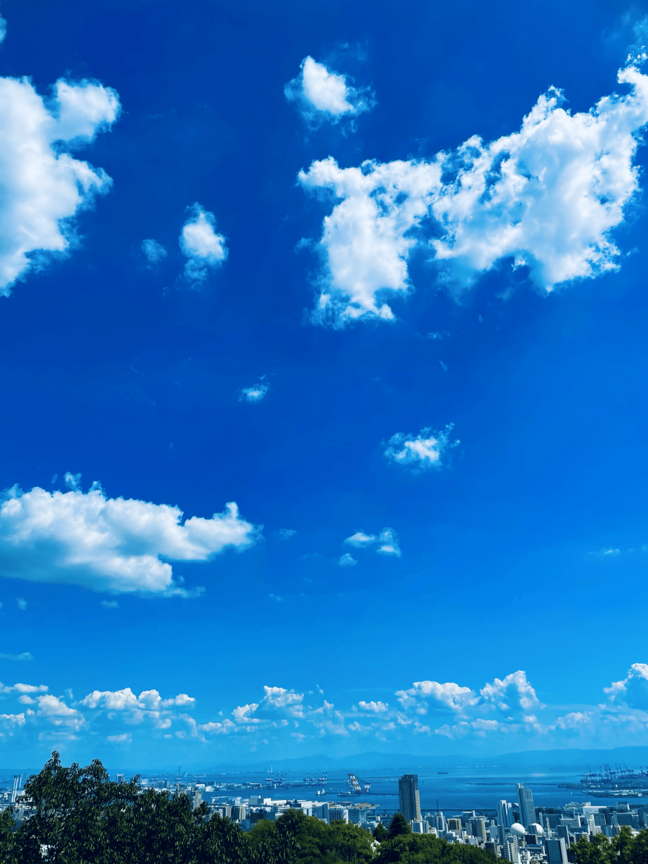 青空さんが見るよう 91L0dzEa33L._UF350,350_QL50_.jpg