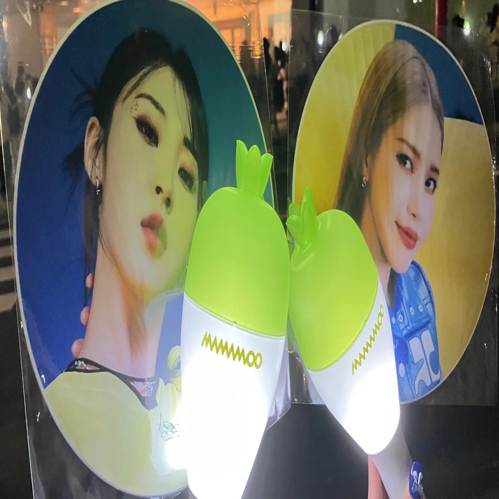 MAMAMOO+ 大阪10/8 備忘録｜床