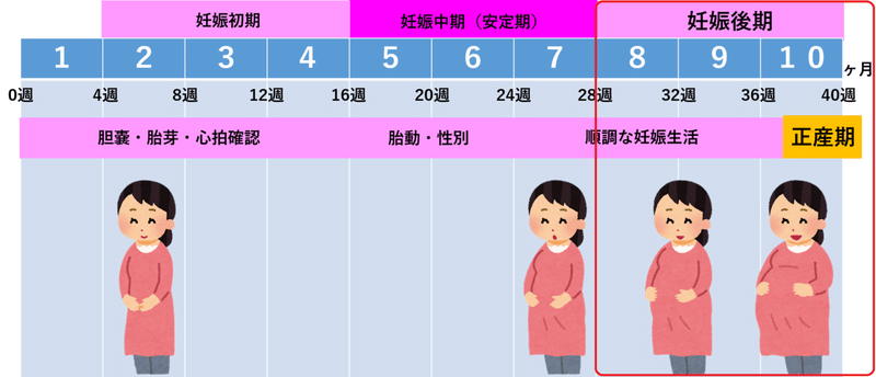 胎動 妊娠6ヶ月 膀胱を蹴ってるの？｜妊娠中期（5～7ヶ月）｜妊娠・出産・育児に関する総合情報サイト【ベビカム】