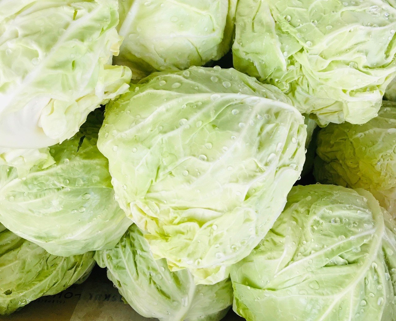 キャベツの中の世界で うまっち Note