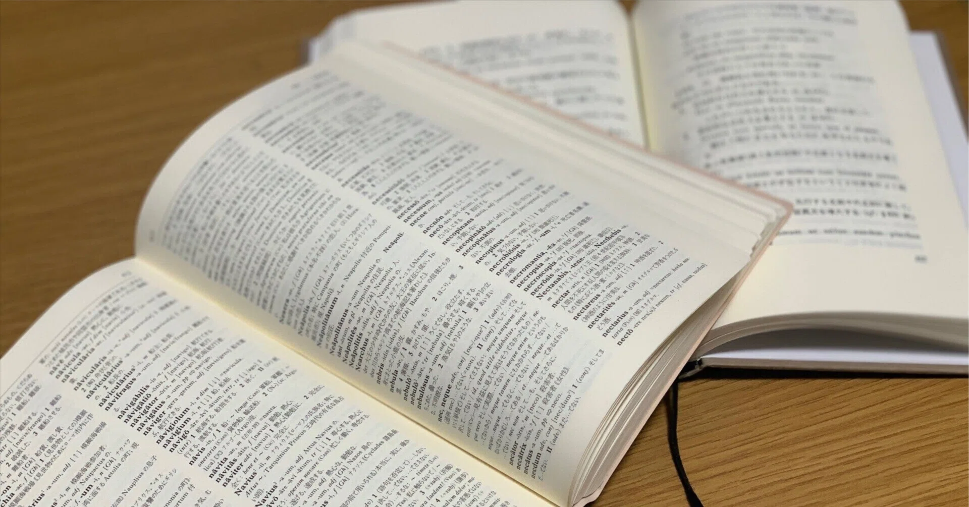 語学書の紹介 その1『スウェーデン語の基本』｜みかっち ～外国語 