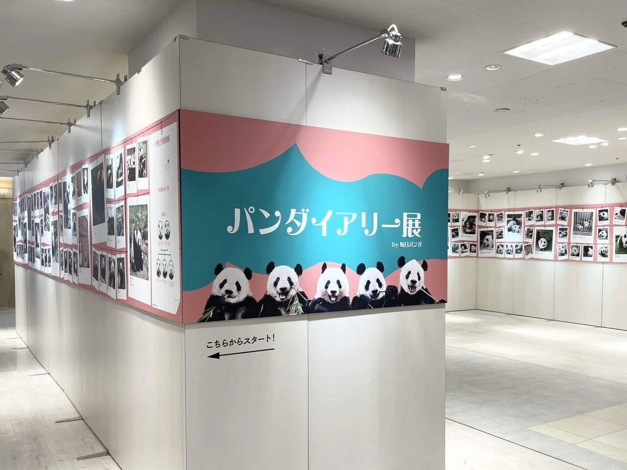 松坂屋上野店でハッピーパンダフルデイズを開催！（10/11～11/7