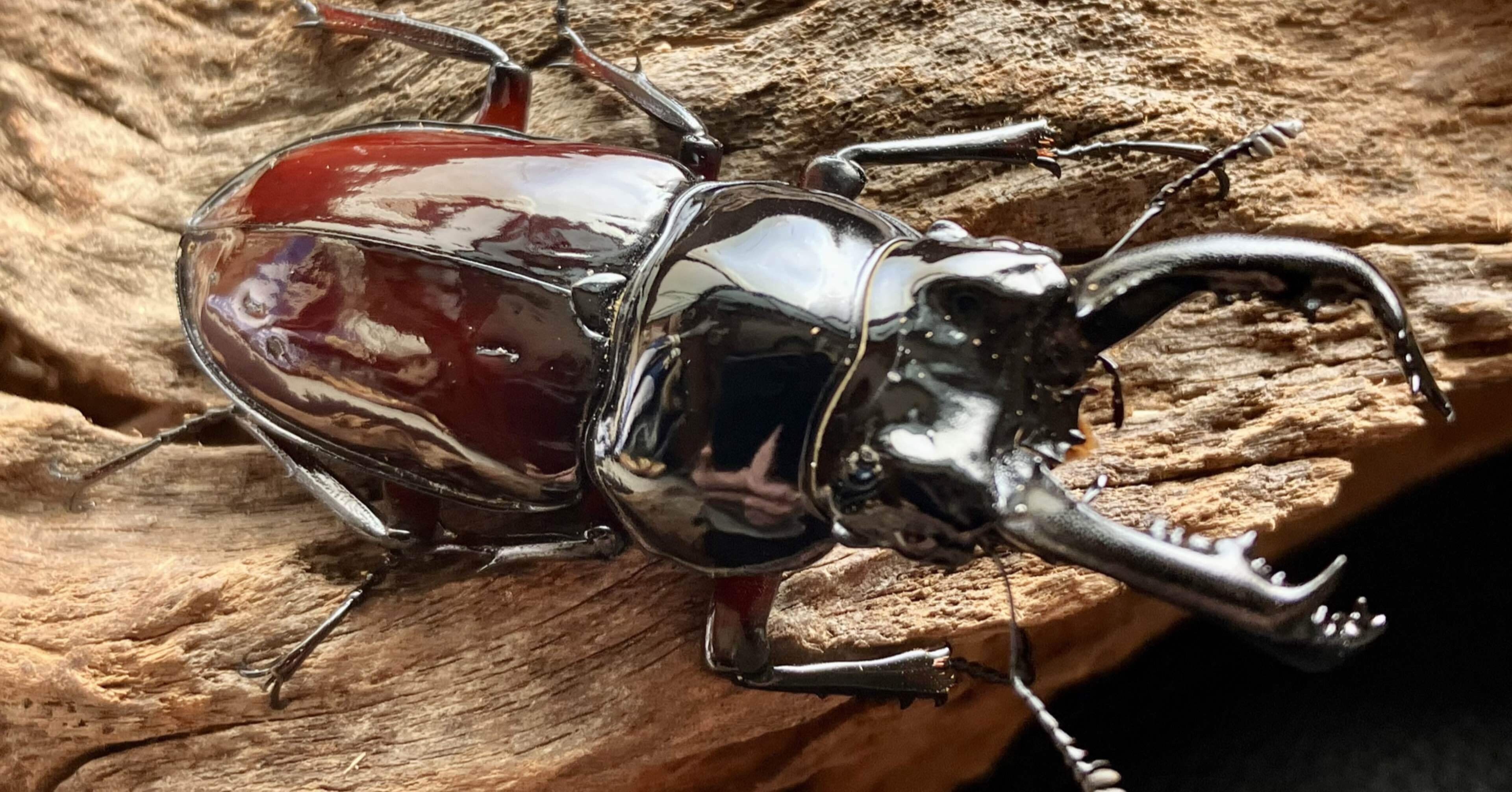 d28ef3a66ee315026271506e3026d9