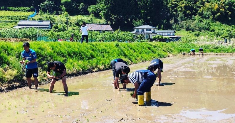 田植えとデニムとturns フリースタイル農家 イエロー かとうえみ Note