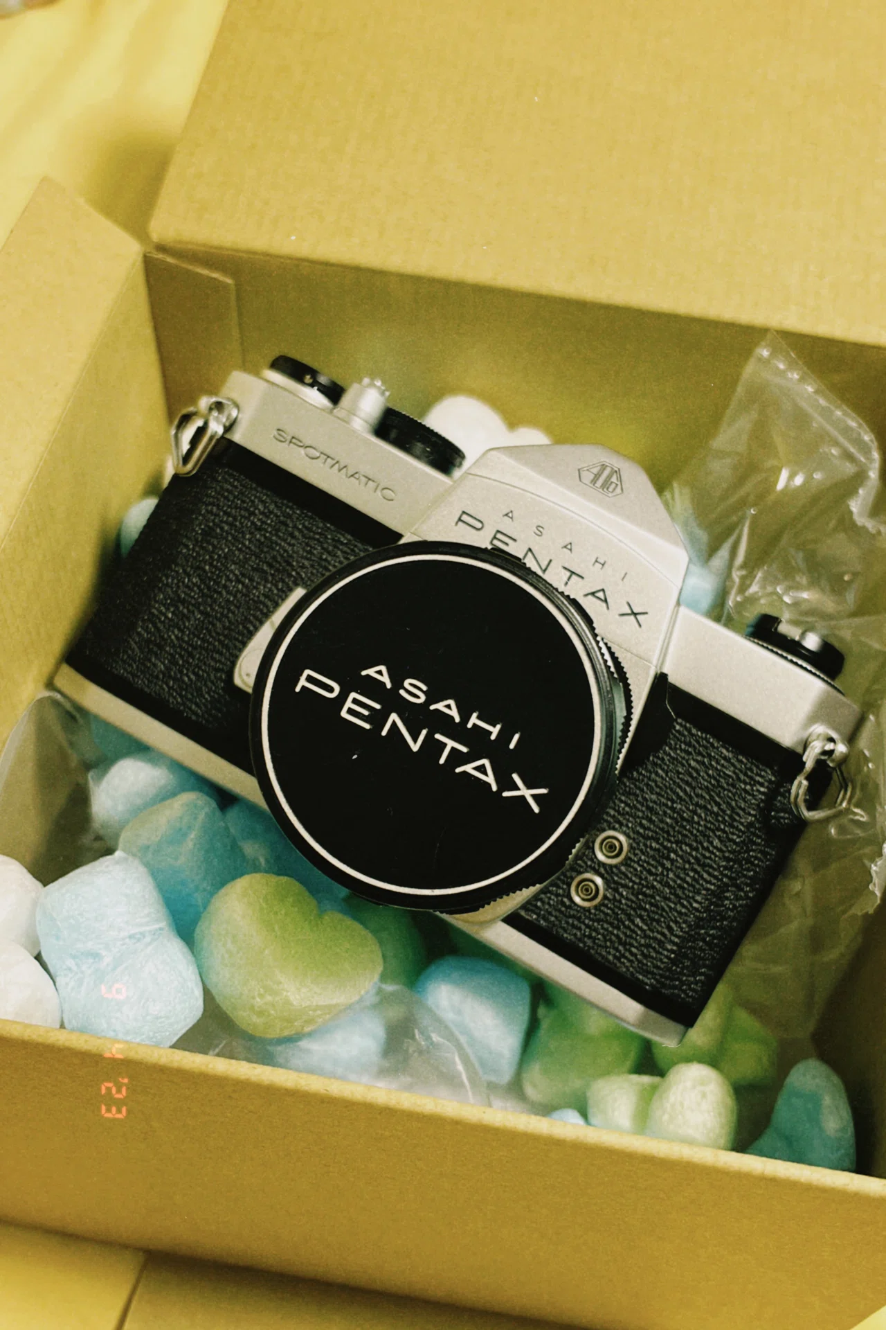 PENTAX SP を使ってみた。【作例あり】｜白雨紗憂 (お湯ちゃん)