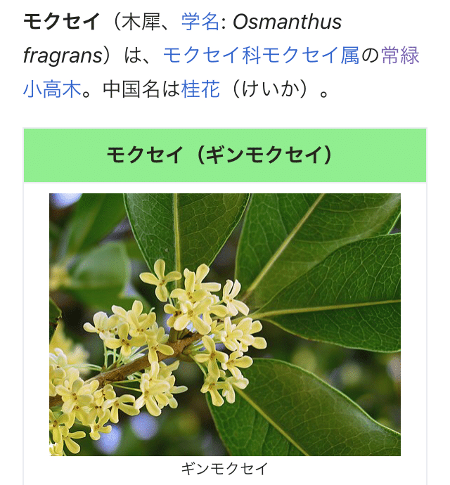 silver osmanthus / 10mL | Pay ID