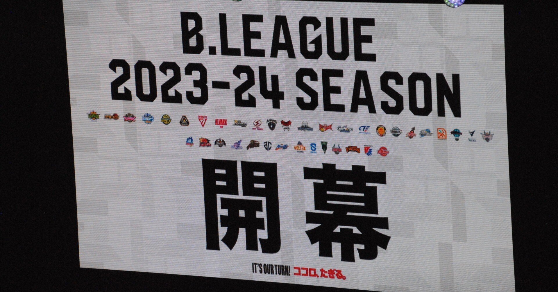 キングス コイン 玉木 (97) 사진