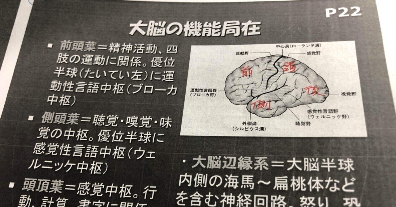 医療学生だった頃｜T