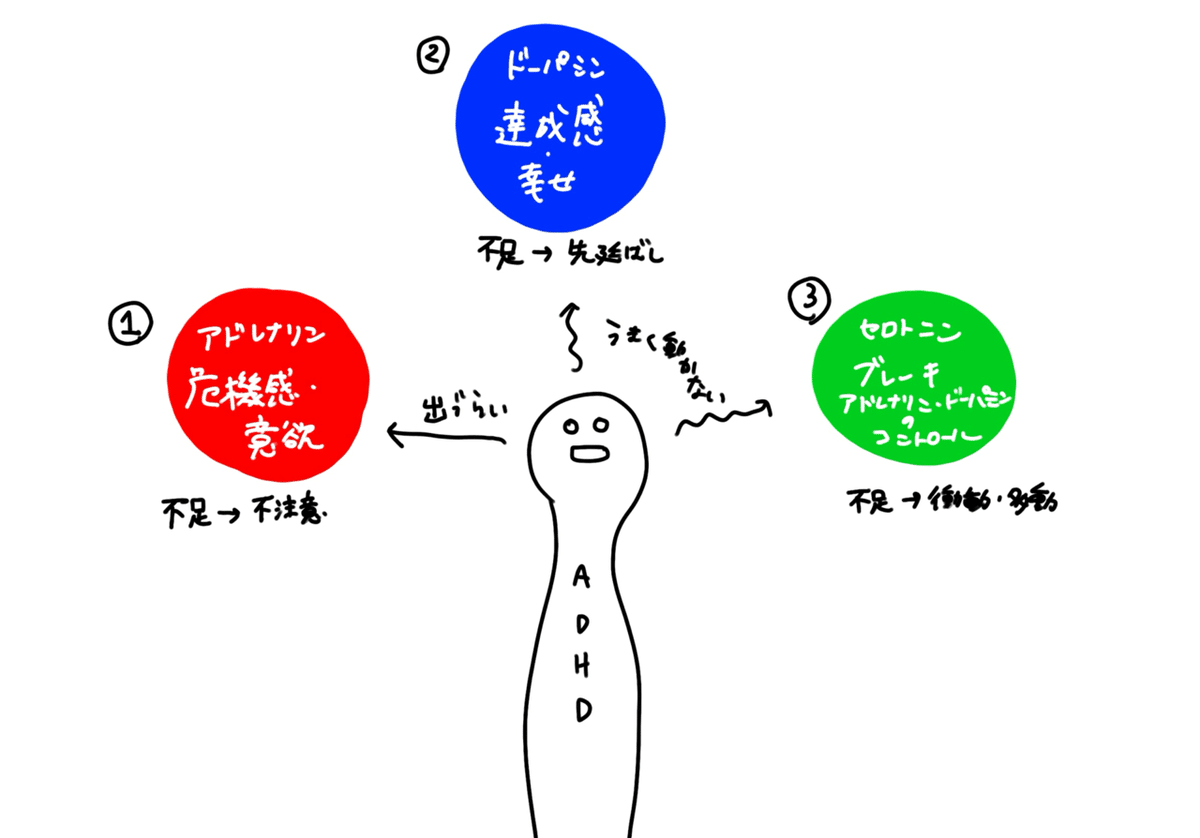 ADHDってそもそもなんなのかめっちゃ真剣に考える【衝動・不注意